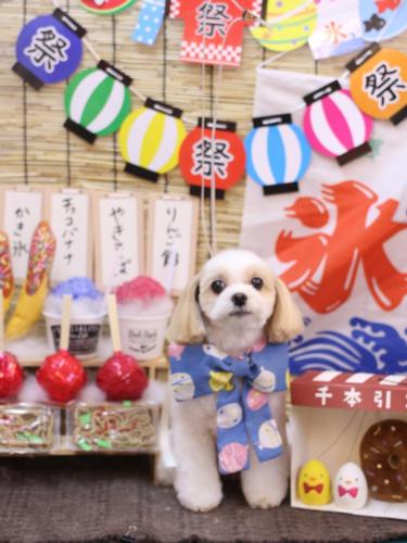 20240710みるくちゃん